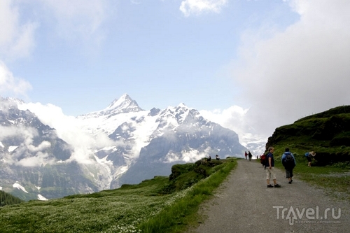 Дорога в горах Швейцарии / Фото из Швейцарии